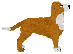Cansas' Million Colours of Hazel — “Rusty”