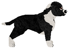 Profile image of Rock’s White Lines