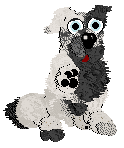 Funfetti/Dh's Monochrome in Motion — “Dottie”