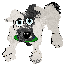 Funfetti/Dh's Monochrome in Motion — “Dottie”