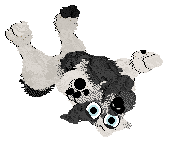 Funfetti/Dh's Monochrome in Motion — “Dottie”
