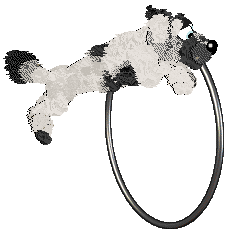 Funfetti/Dh's Monochrome in Motion — “Dottie”