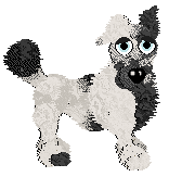 Funfetti/Dh's Monochrome in Motion — “Dottie”