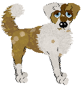 mouse/FK's Biscotto Allo Zenzero — “Gingersnaps”