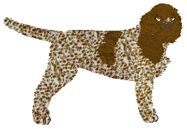 Profile image of Energizing Cordon Bleu