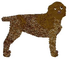 Profile image of Oakley's Tiramisu