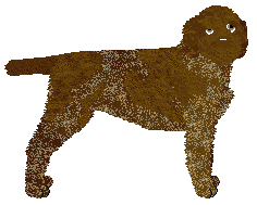 Profile image of Vento de Espero's Chocolate Factory