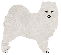 Profile image of Wolf Hollow's Silver Lining at Daisybrook