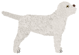 Energizing YETI IS REAL! — “White”