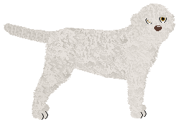 Profile image of Energizing YETI IS REAL!