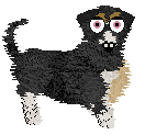 Chachke's Mini Muffin — “Little”