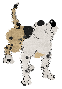 Funfetti/Mos Eisley's Literal Luxury II — “Bentley”