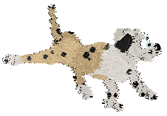 Funfetti/Mos Eisley's Literal Luxury II — “Bentley”