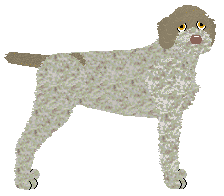 Profile image of DeeOhGee's Vítejte na palubě