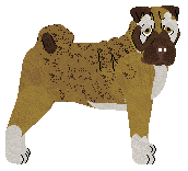 Profile image of Dragosani CZO OJU of My Vertical World