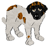 Profile image of Frogbowl Blessed and Brindled