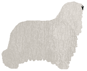 Profile image of Lastryko DON'T ACT SO MANIC