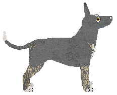 Profile image of Dragosani WOLNE DUCHY