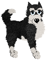 Profile image of NSP/FK’s Forevermore