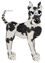 Profile image of NSP/FK’s We’ve Chosen Ill Behavior