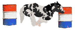 Grit'z Beautiful Beholder — “Fiona”
