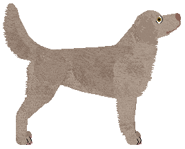 Dragosani ODNALEŹĆ SIEBIE — “Sansa”