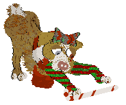 PBK/Poppyhill's Catcher in the Rye — “Caulfield”