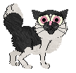 HK's Sweet Baby Boy — “Parsnip”