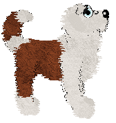 Bec/Poppyhill's Sodapop Curtis — “Hinton”