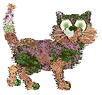 APS' Verdant Glade Princess — “Ceara”