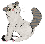 Filthy's Catclaw Mimosa — “Albizia”