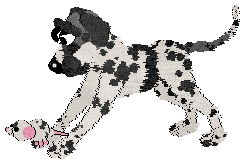 Poppyhill's Transglobe Expedition — “Bothie”