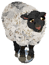 Cinquefoil Wool Always Love Ewe — “Ewen”