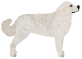 Dragosani O BOGOWIE... — “Zeus”