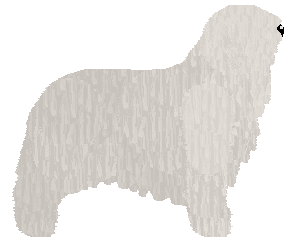 Profile image of Lastryko ALL CAPS ICE CAP