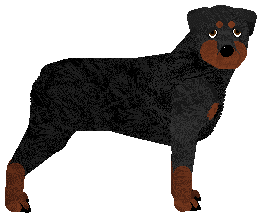 Profile image of Daisybrook's Devoted Matrona