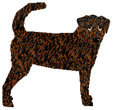 Profile image of Cansas' Tiger's Trace