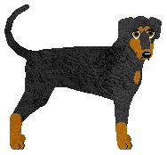 Converse DUXI DER HUNDE — “Duxi”