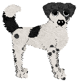 Funfetti/Amenity's Imposing Personality — “Zipper”