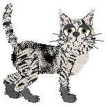 Ferality's Am I Black And White or White And Black @ BWGull — “Quagga”