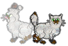 Profile image of Vanilla's Cookie Party at Chachke
