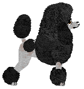 Profile image of Camaraderie Bittersweet Symphony