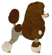 Profile image of Camaraderie The Only Heartbreaker