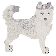 Profile image of Avalanche Lost Arts