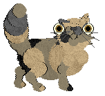 Smokey's Eyes in Different Zipcodes at Chachke — “Eep”