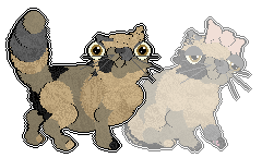 Profile image of Smokey's Eyes in Different Zipcodes at Chachke
