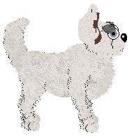 Vanilla's Cotton Guard at Chachke — “Flaafy”