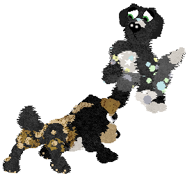 Funfetti Sundays in Newfoundland at Perfume — “Jiggs”