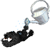 Profile image of Vanilla's Snuffleupagus