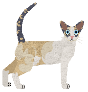 Cymophane's Moonrise Kingdom of Macavity — “Suzy”